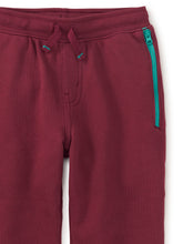 Load image into Gallery viewer, Tea Collection Feeling Zippy Joggers - Sangria