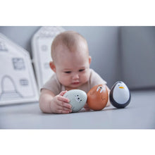 Load image into Gallery viewer, Plan Toys Walrus Wobbler