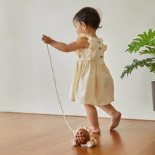 Load image into Gallery viewer, Plan Toys Pull Along Hedgehog