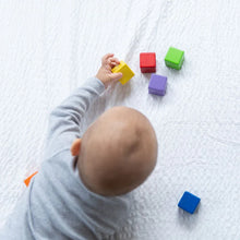 Load image into Gallery viewer, Plan Toys Activity Blocks