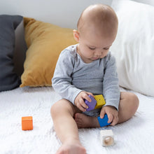 Load image into Gallery viewer, Plan Toys Activity Blocks