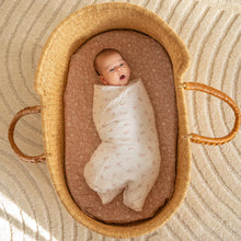Load image into Gallery viewer, Aden + Anais Organic Cotton Swaddle 4-Pack
