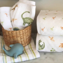 Load image into Gallery viewer, Aden + Anais Cotton Muslin Washcloths 3-Pack