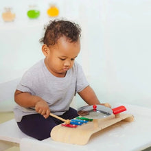 Load image into Gallery viewer, Plan Toys Musical Set