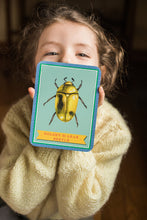 Load image into Gallery viewer, Eeboo Beautiful World Flash Cards