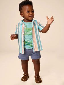 Tea Collection Knit Baby Shortie - Triumph
