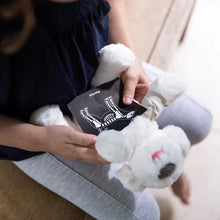 Load image into Gallery viewer, Plan Toys Vet Set
