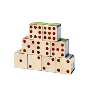 Plan Toys Animal Puzzle Cubes