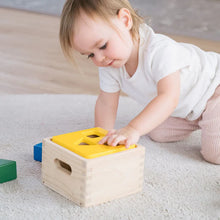 Load image into Gallery viewer, Plan Toys Shape and Sort it Out
