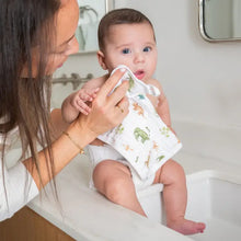 Load image into Gallery viewer, Aden + Anais Cotton Muslin Washcloths 3-Pack
