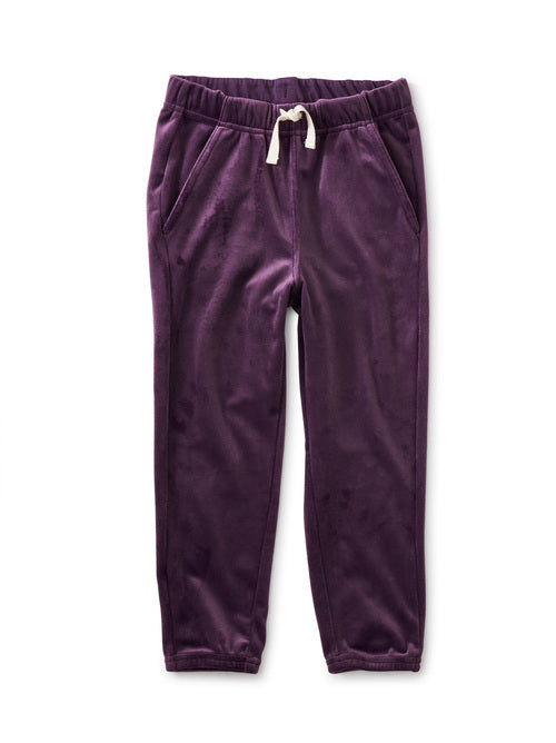 Tea Collection Very Velour Joggers - Purple Punch
