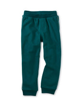 Load image into Gallery viewer, Tea Collection Side Stitch Joggers- Scuba

